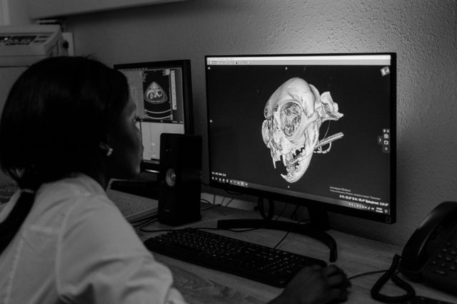 Radiology Technician